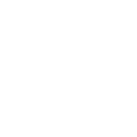 white wvg logo frontpage
