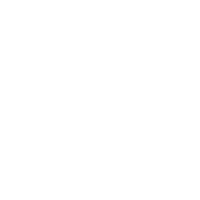 white wvg logo
